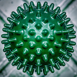 חיזוק המערכת החיסונית