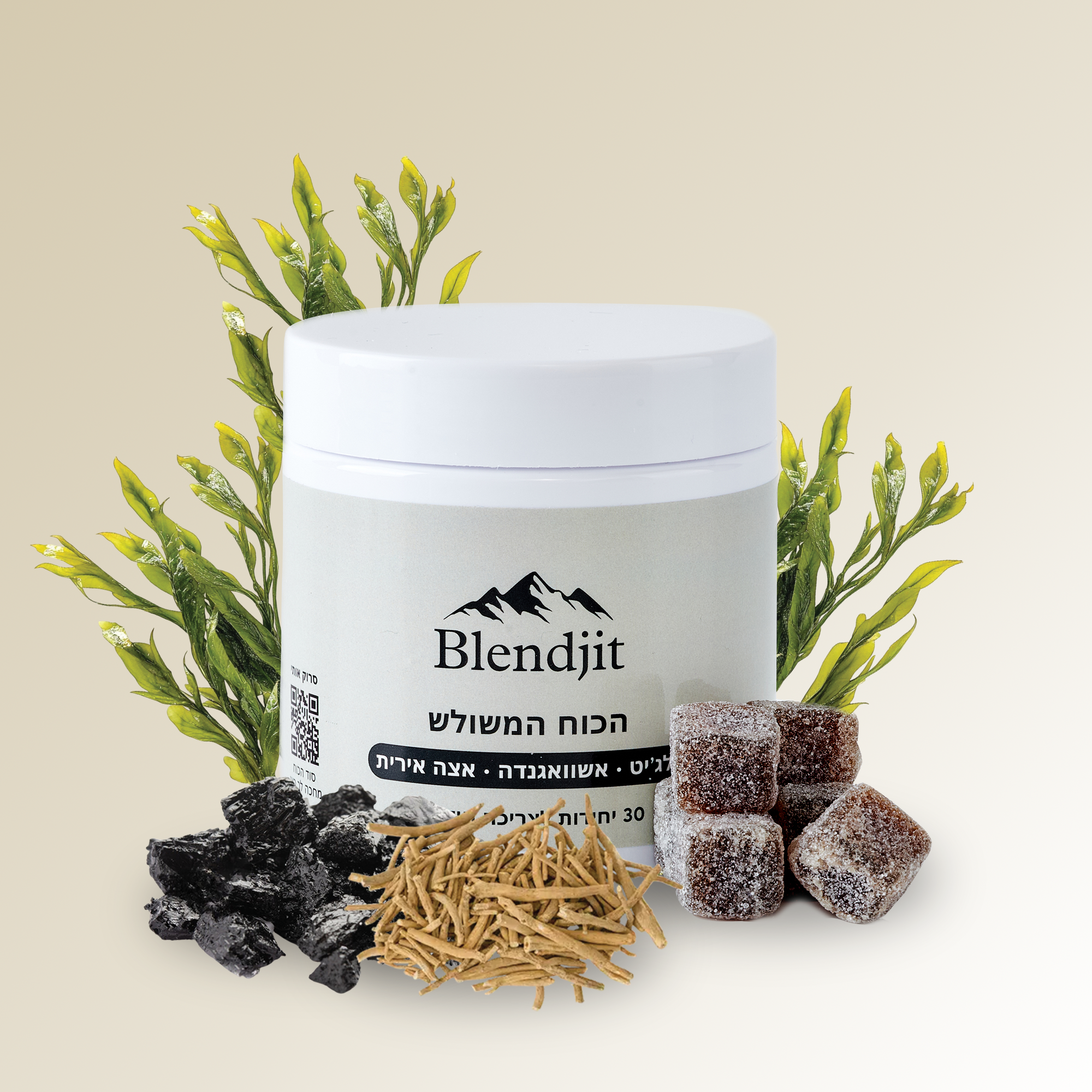 Blendjit – הגומי הטבעי שיעניק לך אנרגיה, איזון הורמונלי וזוהר צעיר, לשדרוג הביצועים, החיוניות והתפקוד היומיומי