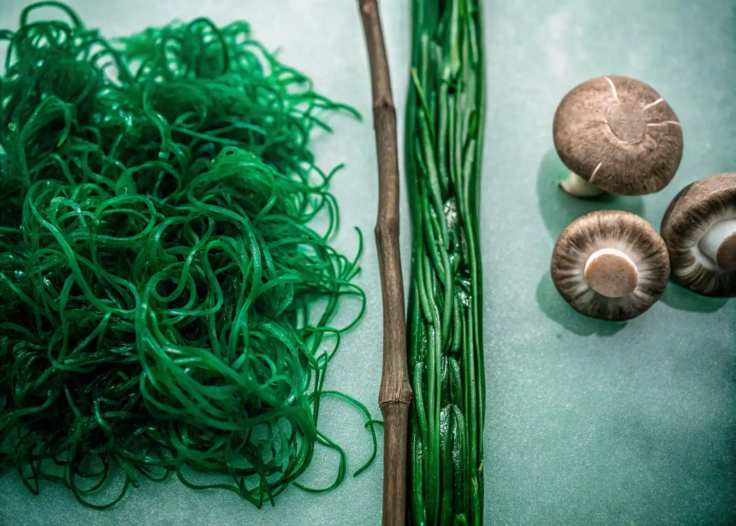 הכוח של הטבע – עכשיו בפורמולה אחת